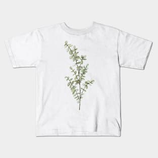 Baby Blue Eucalyptus Kids T-Shirt